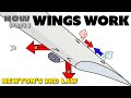 Aerodynamics and Lift Principles