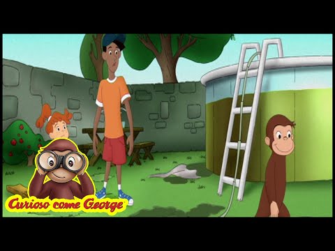 Curioso Come George 🐵Pulizia della piscina 🐵Cartoni per Bambini 🐵George la Scimmia