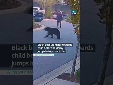 Black bear launches towards child before passerby jumps in to protect him #blackbear