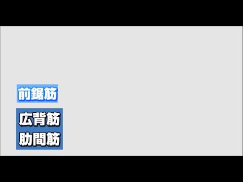 【筋膜リリース】リリーステクニック NO.45 サイドポジション 前鋸筋#筋膜#整体#筋膜はがし