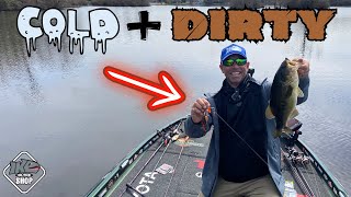 Iaconelli's Best Bass Fishing Videos 2024