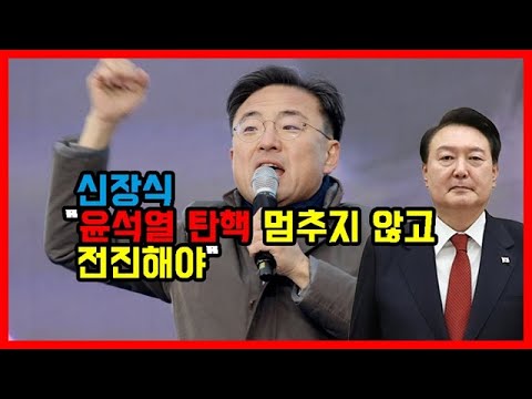 신장식 "윤석열 탄핵 멈추지 않고 전진해야"