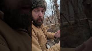 BEST BUCK CALL