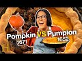 Ancient Pumpkin Pie Recipes Quiz