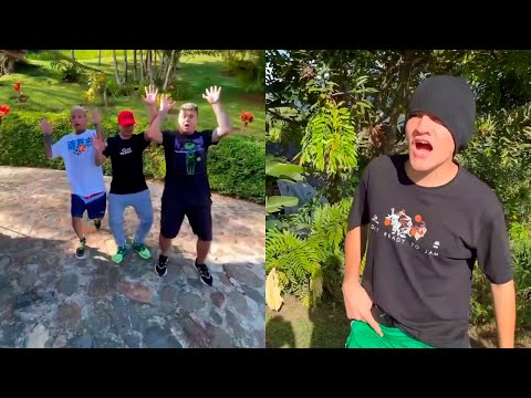 LA LIENDRA Y SUS MEJORES VIDEOS | RECOPILACIÓN | Ep. 67 |