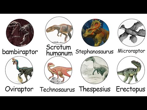 8 worst Dinosaur names and Their History Explained.