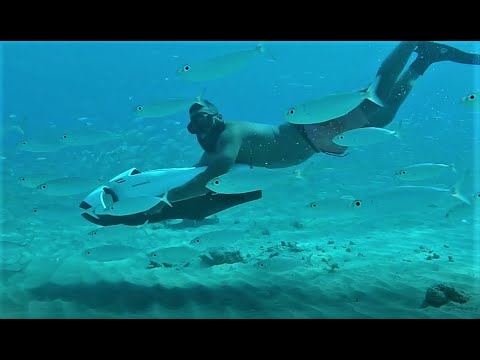 Get To Know Curaçao | Top Beach & Water Destination