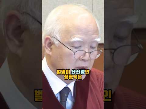 헌법재판소 결정문 작성을 주도했다는 정형식 재판관