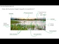Aquatic Ecosystems and Their Challenges