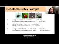 Exploring Dichotomous Keys