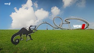 WDR // Ident #⑪ (2025)