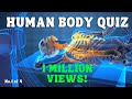 Human Body Systems and Functions