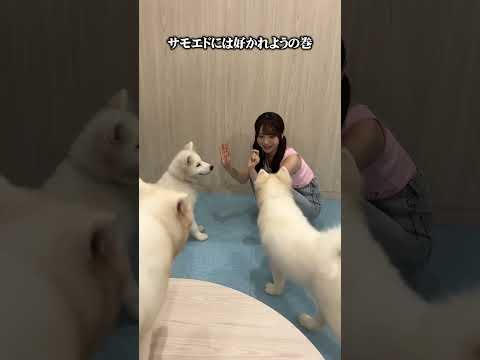 1番可愛い推しをみつけたわん🐶