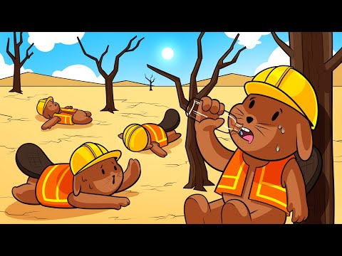 Real Civil Engineer