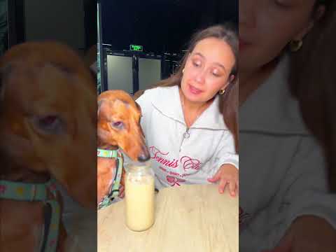 协孝袨 袘蝎袥袨 效袝小孝袧袨馃槀