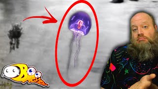 Shocking 'Jellyfish' UAP Footage!? | Review & Recreation Attempt [Jellyfish UFO]