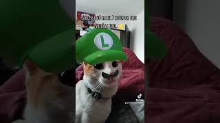 😂#mario 🍄 #mariobros #videogames 😸 #cat #funny #gatos #comedy #humor #movie #shorts #tiktok #filter