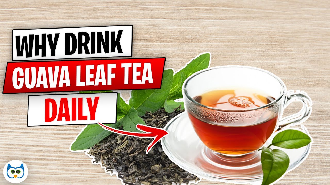 12 Amazing Benefits of Guava Leaf Tea You Are Unaware of￼