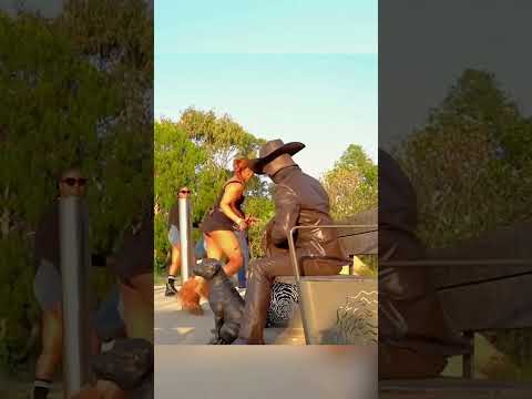 #funny #bushmanprank #bushman #stautes_video_