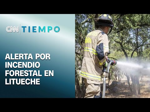 Senapred de O'Higgins por incendios forestales: "La preocupación es alta en nuestra región"