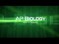 Energy Flow and Conversion in Ecosystems
