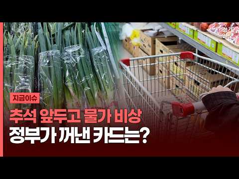 <strong>추석</strong> 차례상 차리는데 40만 원?...정부 결국 1,930억 푼다