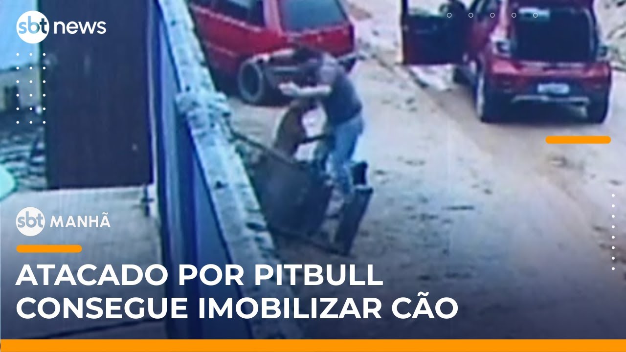 Pitbull ataca homem e vítima usa cadeira para se defender | SBTManhã