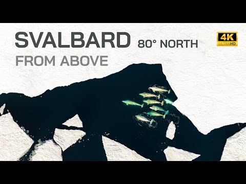 SVALBARD - THE ARCTIC FROM ABOVE in 4K