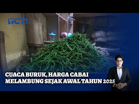 Cuaca Buruk, Harga Cabai Melambung Sejak Awal Tahun 2025 - SIS 10/01