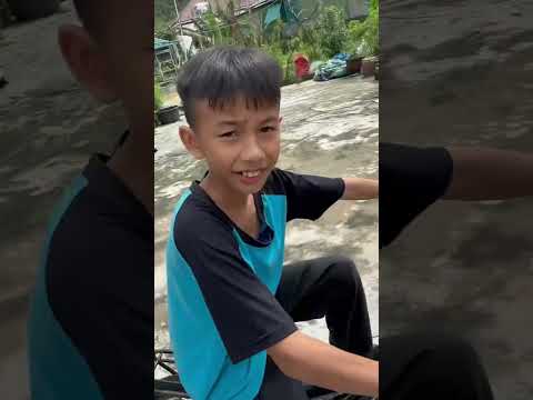 Suốt ngày lượn