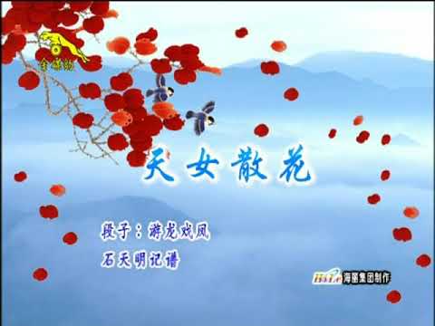 卓依婷 天女散花 DVD版