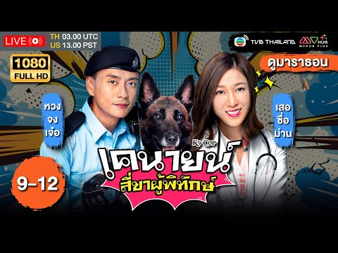 TVBหนังคอมเมดี้เคนายน์สี่ขาผู้พิทักษ์พากย์ไทยEP.912ดูหนังมาร