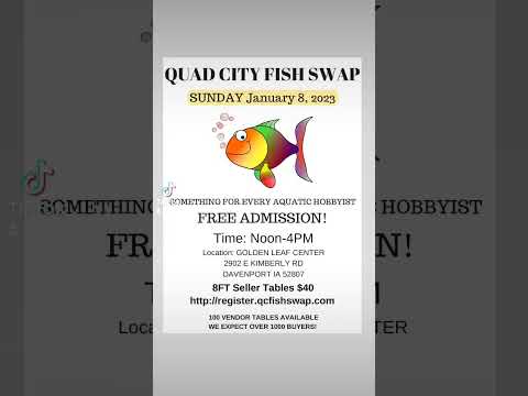 Tropical Fish Swap in #quadcity #Quadcities #Tropi 