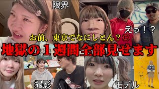 動画サムネイル