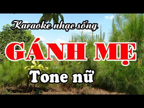 Karaoke GÁNH MẸ – TONE NỮ