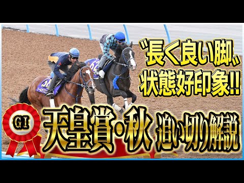 【天皇賞・秋2025】マスカレードボールより手応えアリ!?各出走馬の追い切りを東西記者が徹底解説!《東スポ競馬》