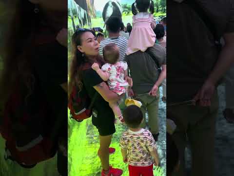 Our Kids Loved the Moving Dinosaurs in China! 🦕