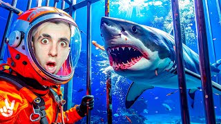 NADAMOS CON TIBURONES y NO CREERÁS LO QUE PASA! *muy fuerte!*