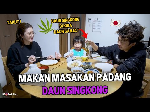 REAKSI ISTRI MAKAN SAYUR DAUN SINGKONG ! DI PIKIR DAUN GANJA ! PANIK DIKIT !