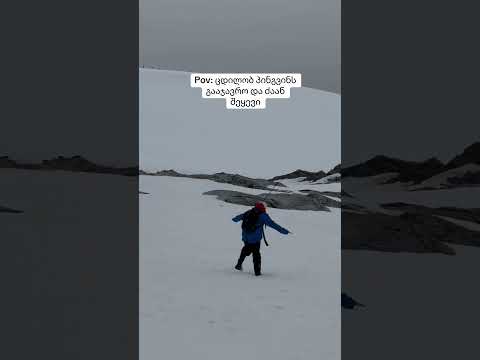 #humankako #ანტარქტიდა #antarctica