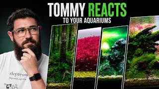 Thumbnail for the video "Tommy REACTS to YOUR AQUARIUMS (2026)" from Green Aqua