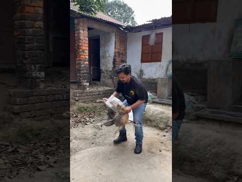 dog lover support Karen