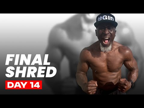 Day 14 FULL BODY SHRED Finale | 15 Min Fat Melting Workout for Men