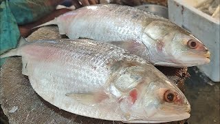In my live you can see different types of fish cutting methods. Please join my live || Part-8