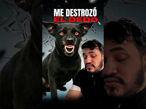 ESTE PERRO ME MORDIÓ FEO!! NO CONOCE LÍMITES🔥🚨#pet #dog #fyp