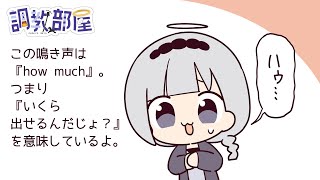 ⋆⸜ 調教部屋  ⸝⋆ ( 'ω' )【白百合リリィ / ビビドニア 】