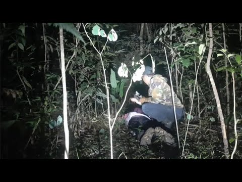 Salah satu youtuber misteti di temukan tergeletak di kebon bodong saat explor