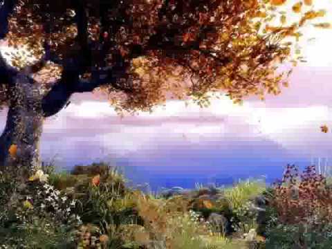 Isaac Shepard - Leaves In The Wind