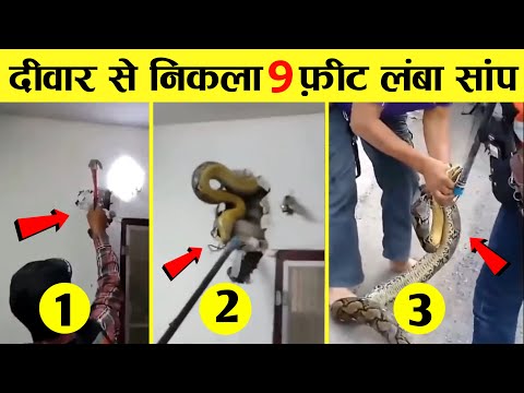 Unbelievable Moments Caught on Camera  Part 4  😱 #shorts I Hindi Countdown I Hindi Vibes I FactMIND