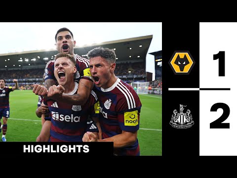 Wolves 1 Newcastle United 2 | Premier League Highlights